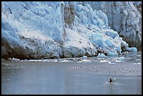 Kayaker at the base  of Lamplugh Glacier. Glacier Bay National Park, Alaska