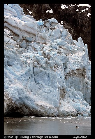 Kayaker dwarfed by Lamplugh Glacier. Glacier Bay National Park, Alaska