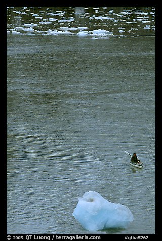 Kayaker and icebergs. Glacier Bay National Park, Alaska (color)