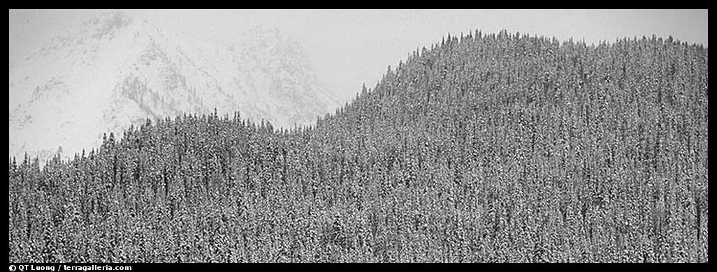 Hill in winter. Canada (color)