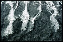 Avalanche gullies. Canada (color)