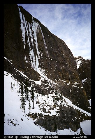 The Terminator wall. Canada