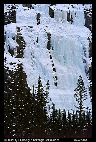 Lower Weeping Wall. Canada (color)