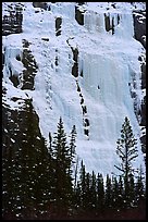 Lower Weeping Wall. Canada ( color)