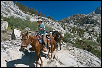 Man driving a pack of horses on trail, lower Dusy Basin. Kings Canyon National Park, California