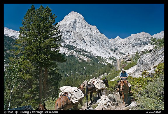 Man riding horse and Langille Peak, Le Conte Canyon. Kings Canyon National Park, California (color)