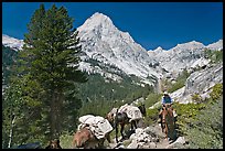 Man riding horse and Langille Peak, Le Conte Canyon. Kings Canyon National Park, California