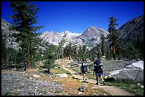 Backpackers in valley near Rae Lakes, Kings Canyon National Park. California ( color)