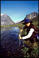Woman filtering water from a stream. Lake Clark National Park, Alaska ( color)