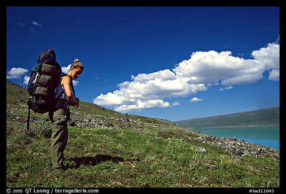 Backpacker looking at Turquoise Lake. Lake Clark National Park, Alaska (color)