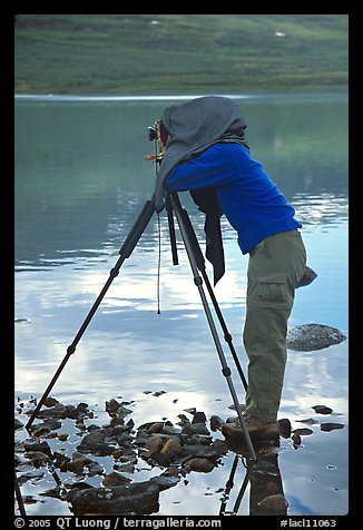 Large format photographer under dark cloth on the shores of Turquoise Lake. Lake Clark National Park, Alaska