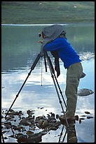 Large format photographer under dark cloth on the shores of Turquoise Lake. Lake Clark National Park, Alaska (color)