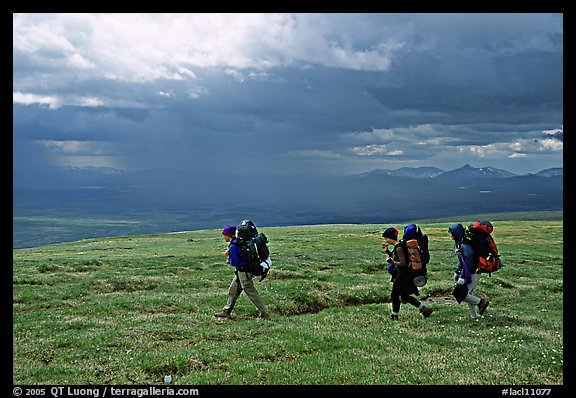 Three backpackers walk on a ridge in the tundra. Lake Clark National Park, Alaska