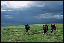 Three backpackers walk on a ridge in the tundra. Lake Clark National Park, Alaska (color)