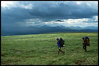 Two backpackers seen from the side walking fast in the tundra. Lake Clark National Park, Alaska