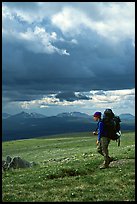 Backpacker seen from the side walking fast in the tundra. Lake Clark National Park, Alaska ( color)