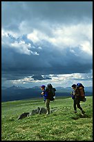 Backpackers seen from the side in the tundra. Lake Clark National Park, Alaska (color)