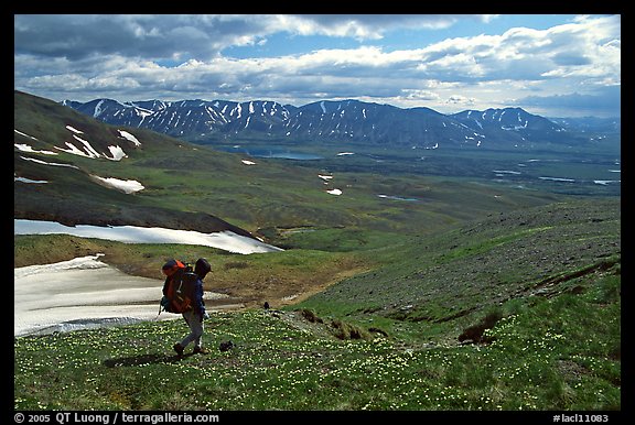 Backpackers walking down on a carpet of alpine flowers towards Twin Lakes. Lake Clark National Park, Alaska (color)