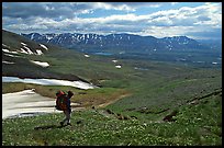 Backpackers walking down on a carpet of alpine flowers towards Twin Lakes. Lake Clark National Park, Alaska