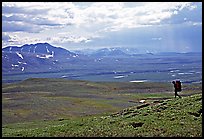 Backpacker on a ridge above vast expenses of tundra. Lake Clark National Park, Alaska (color)