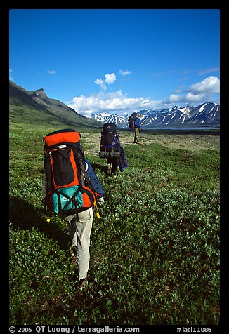 Backpackers with heavy packs. Lake Clark National Park, Alaska (color)