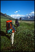 Backpackers with heavy packs. Lake Clark National Park, Alaska ( color)