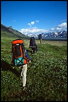 Backpackers with heavy packs. Lake Clark National Park, Alaska ( color)