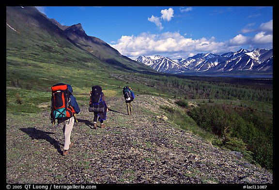 Backpackers with big  packs walking on the tundra. Lake Clark National Park, Alaska (color)