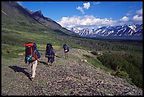 Backpackers with big  packs walking on the tundra. Lake Clark National Park, Alaska (color)
