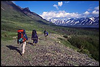 Backpackers with big  packs walking on the tundra. Lake Clark National Park, Alaska