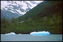 Icebergs in Portage Lake, at sea level. Alaska