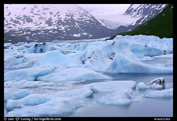 Icebergs in Portage Lake. Alaska (color)