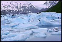 Icebergs in Portage Lake. Alaska