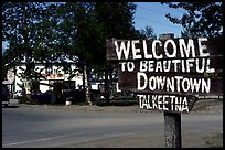 Dowtown Talkeetna. Alaska ( color)