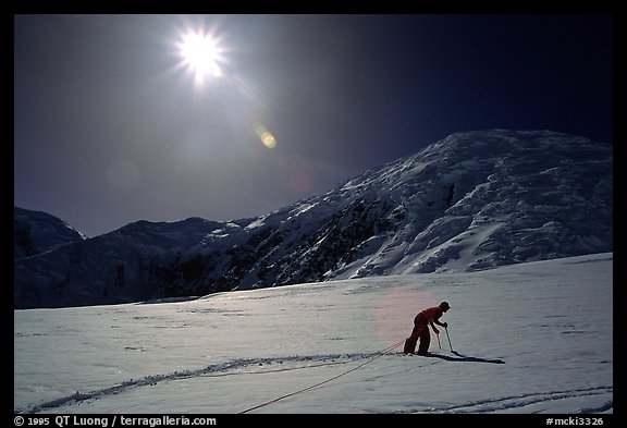 Taking a break from pulling the sled. Denali, Alaska (color)