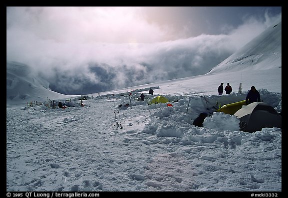 Camp 11000 with a forest of wands. Denali, Alaska