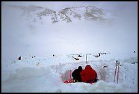 Waiting out in bad weather. Denali, Alaska ( color)