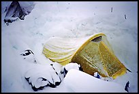 More fresh snow on the tent down at 14300. Denali, Alaska