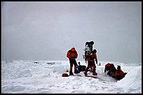 Party with typical Alaskan backpacks. Denali, Alaska