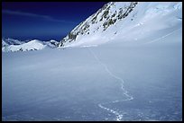 This time, I had to painfully break the trail, which was swept by the recent storm. It is hard work when you are by yourself. Denali, Alaska (color)