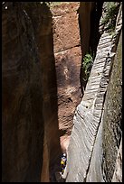 Canyoneering in sunlit narrows, Mystery Canyon. Zion National Park, Utah ( color)