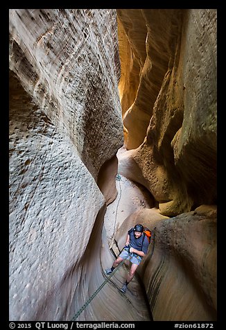 Canyoneering in glowing narrows, Mystery Canyon. Zion National Park, Utah (color)