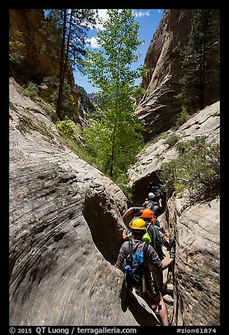 Hiking in a narrow, but open section of Mystery Canyon. Zion National Park, Utah (color)
