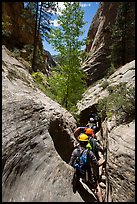 Hiking in a narrow, but open section of Mystery Canyon. Zion National Park, Utah ( color)