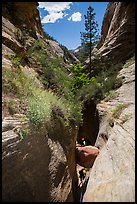 Descending into depth of Mystery Canyon. Zion National Park, Utah ( color)