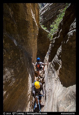 Hiking in a narrow sunlit section of Mystery Canyon. Zion National Park, Utah (color)