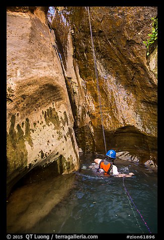 Canyoneer ends rappel into Mystery Springs pool, Mystery Canyon. Zion National Park, Utah (color)