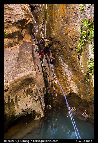 Canyoneer rappels above water pool, Mystery Canyon. Zion National Park, Utah (color)