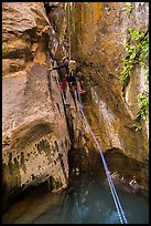 Canyoneer rappels above water pool, Mystery Canyon. Zion National Park, Utah ( color)