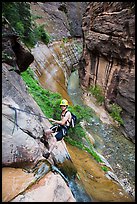 Man starting rappel into the Virgin River Narrows. Zion National Park, Utah ( color)